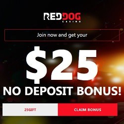 Casino Free Bonus No Deposit 2019